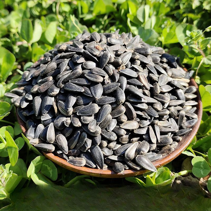 仓鼠零食仓鼠小瓜子油葵鹦鹉鸟食仓鼠主粮主食鸟粮鸽子粮磨牙用品