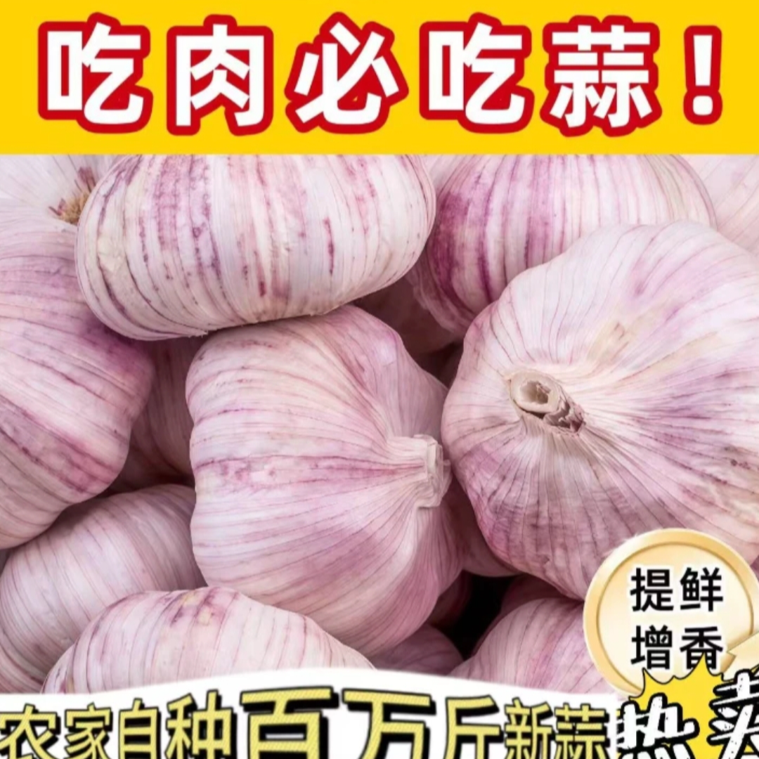 新鲜紫白皮干蒜大蒜头蒜香浓郁可吃可种农家自种