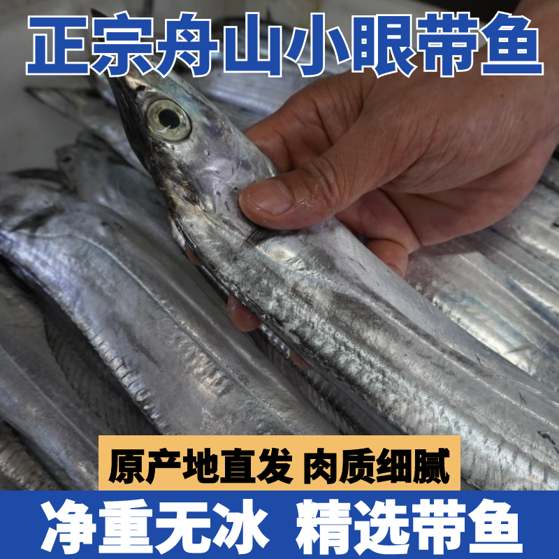 【*大带】正宗舟山东海新鲜小眼睛带鱼新鲜 肉质细嫩野生带鱼