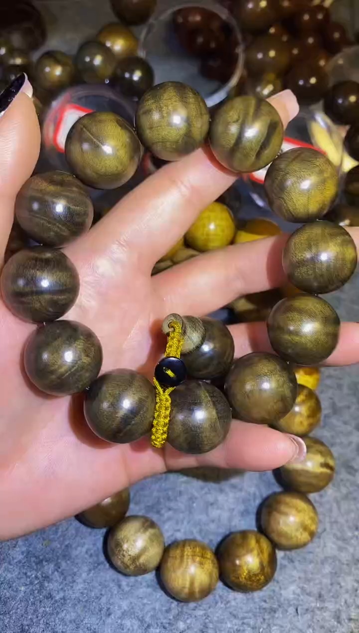 金丝楠【楠帝】小叶桢楠2.0阴沉玻璃底冰龙胆