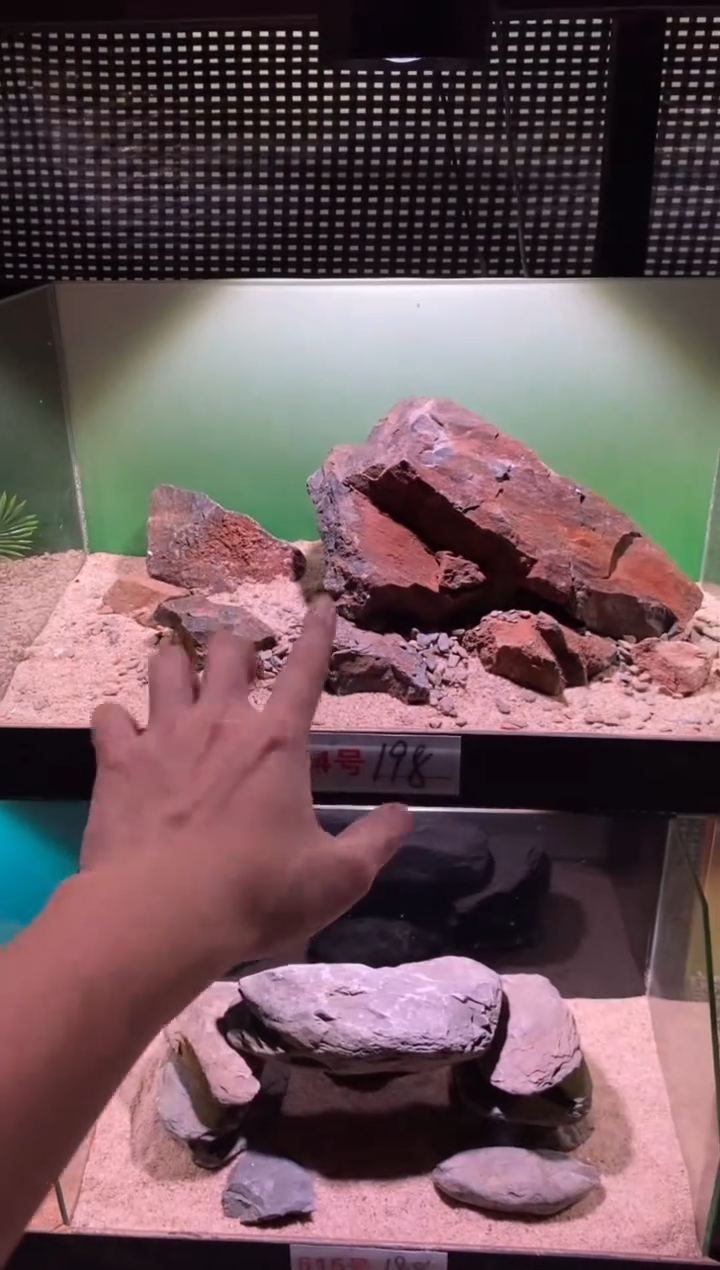 614号鱼缸造景（不含底砂）