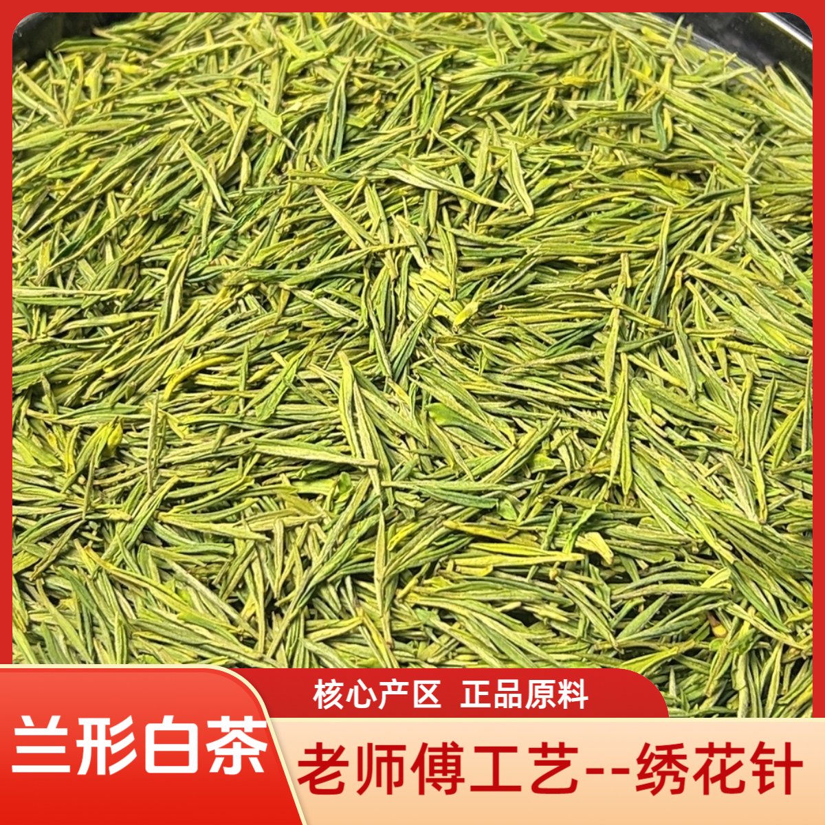 兰形回甘甜味【嫩芽绣花针】2025安吉白茶新茶口感纯正