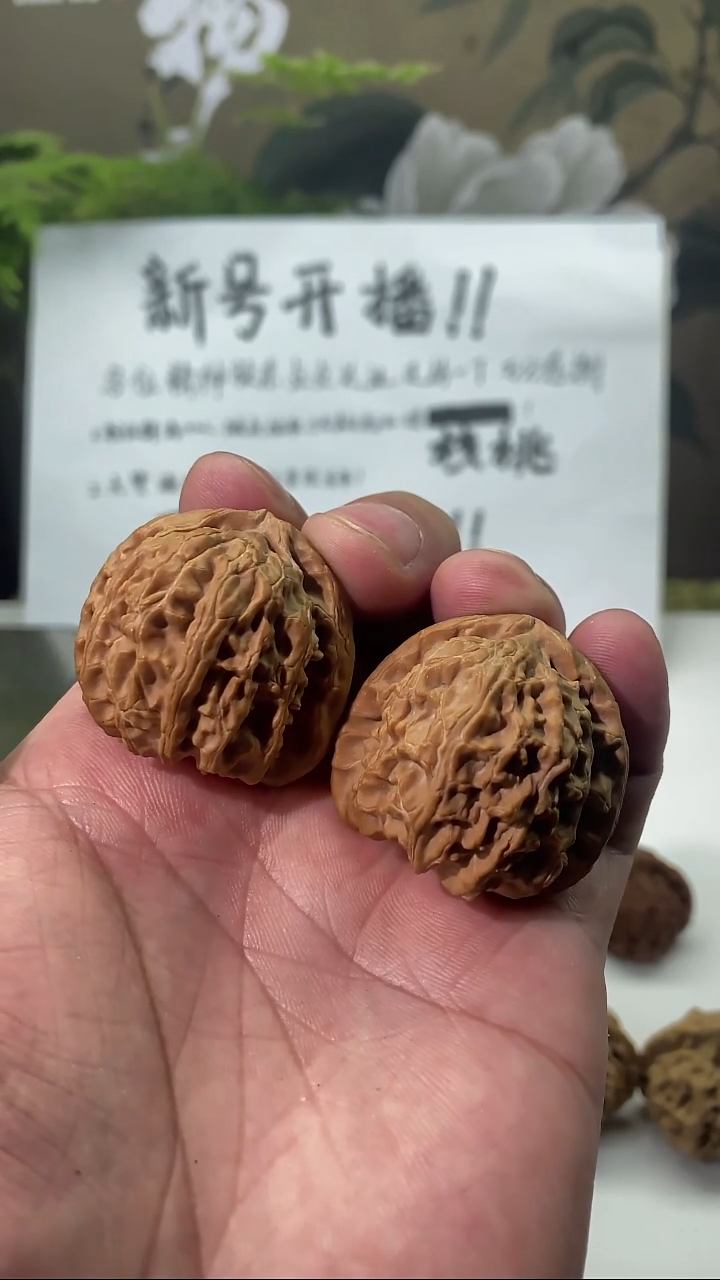 把件核桃38白狮子