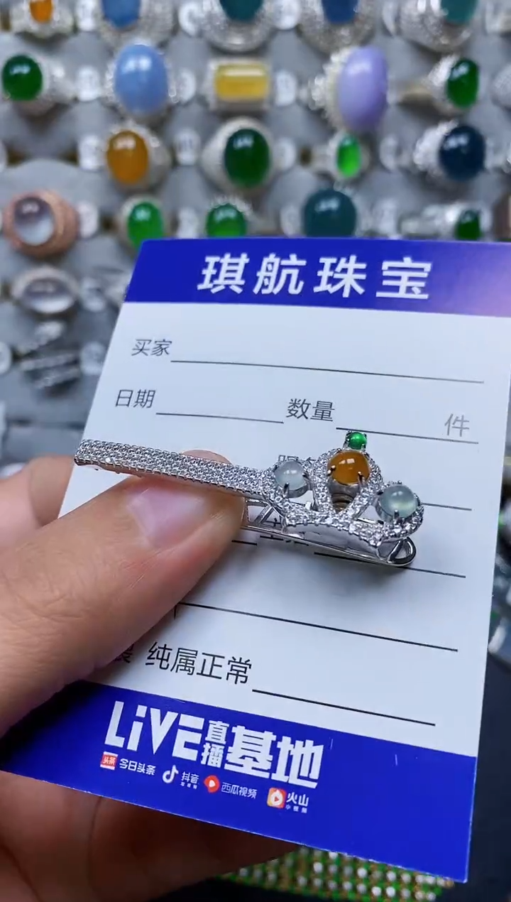 【闪购商品】翡翠颈饰银S925镶嵌0379