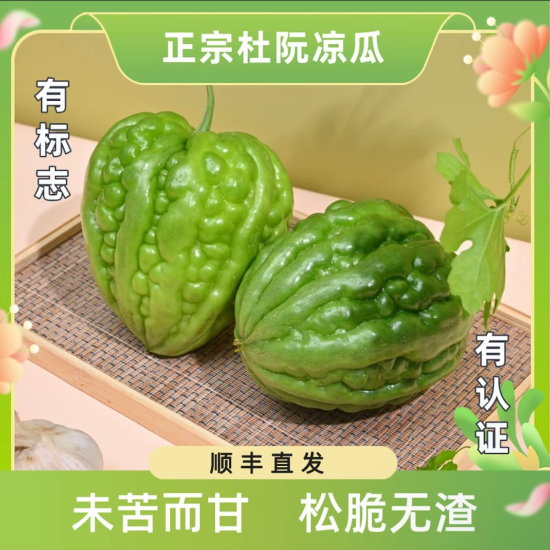 越好哆哆 杜阮凉瓜