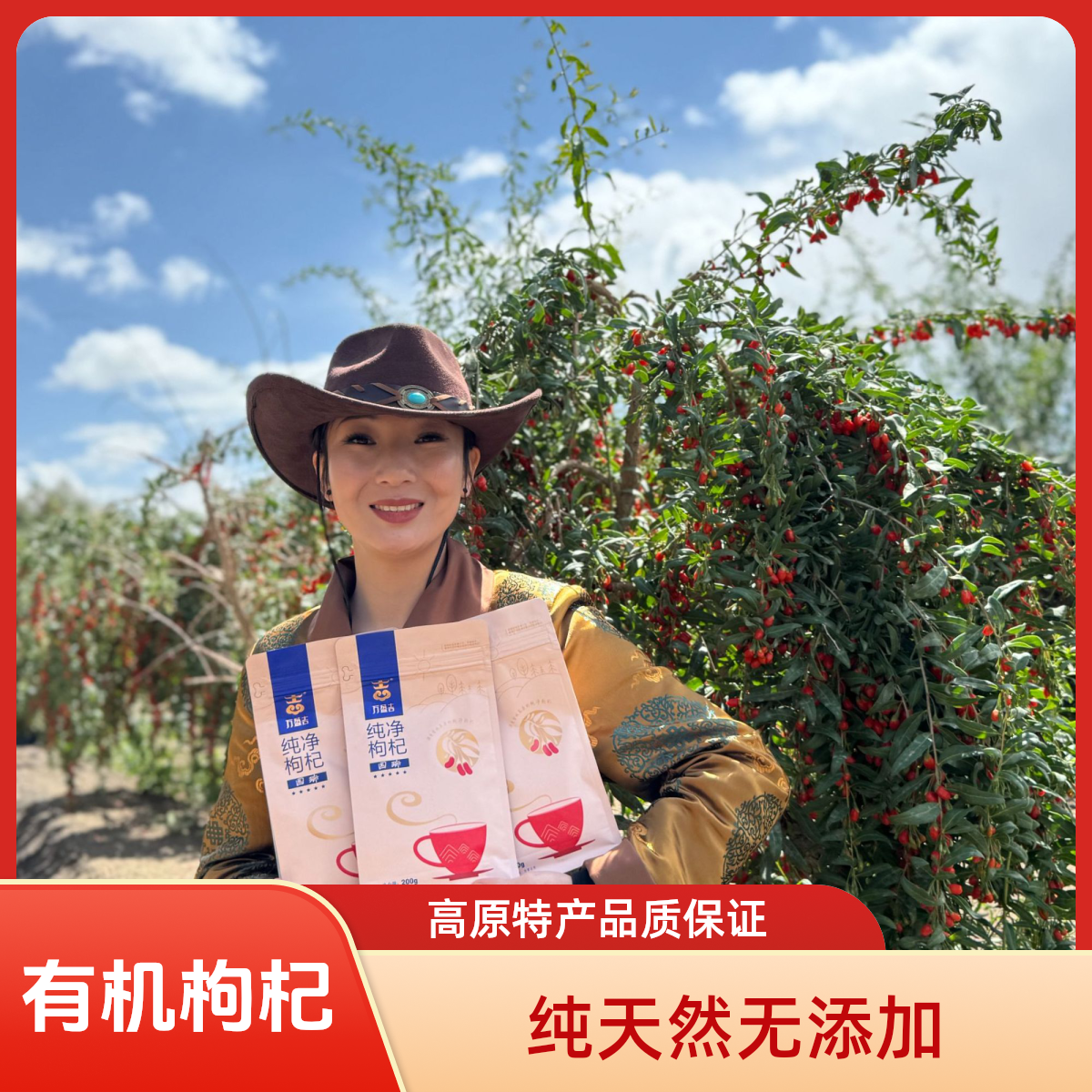 【头茬有机认证】一包试吃正品无农药残留/无硫免洗无添加枸杞