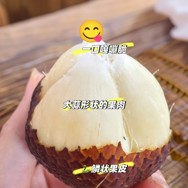 【新疆直发】印尼蛇皮果新鲜热带水果酸甜脆爽包邮现发