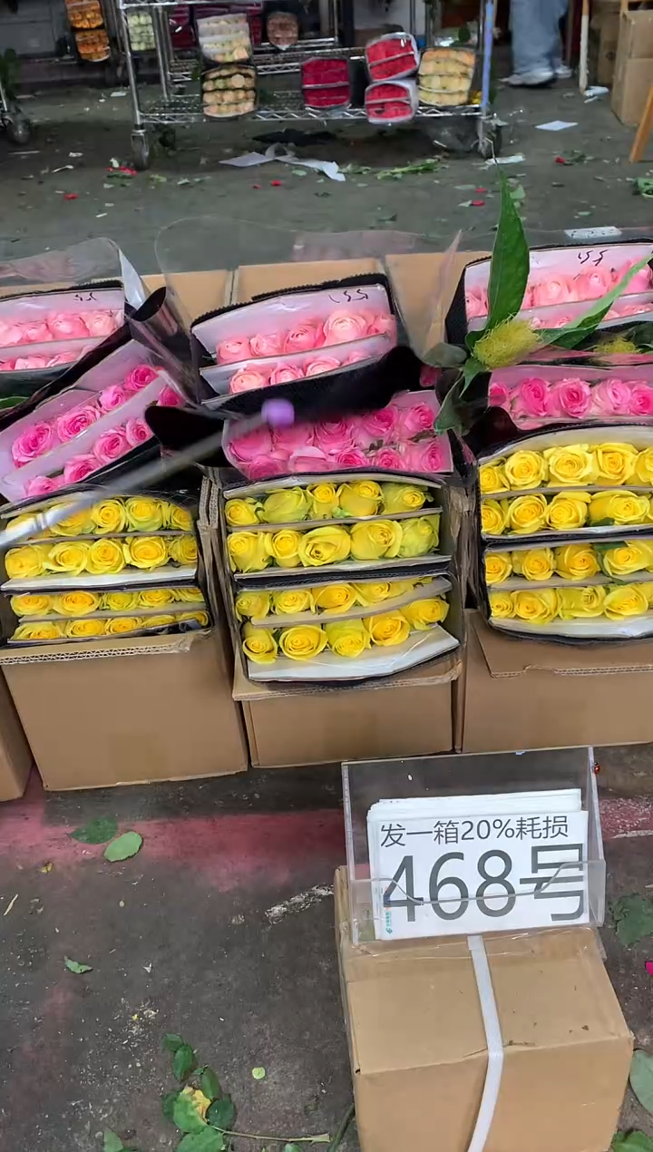 468号♥含20%耗损发一箱