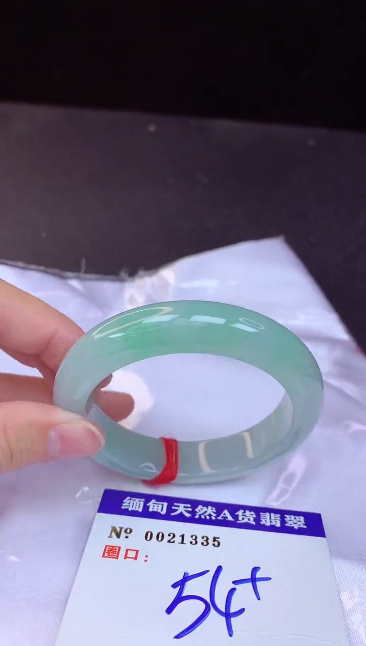 【闪购商品】翡翠手镯未镶嵌54+             