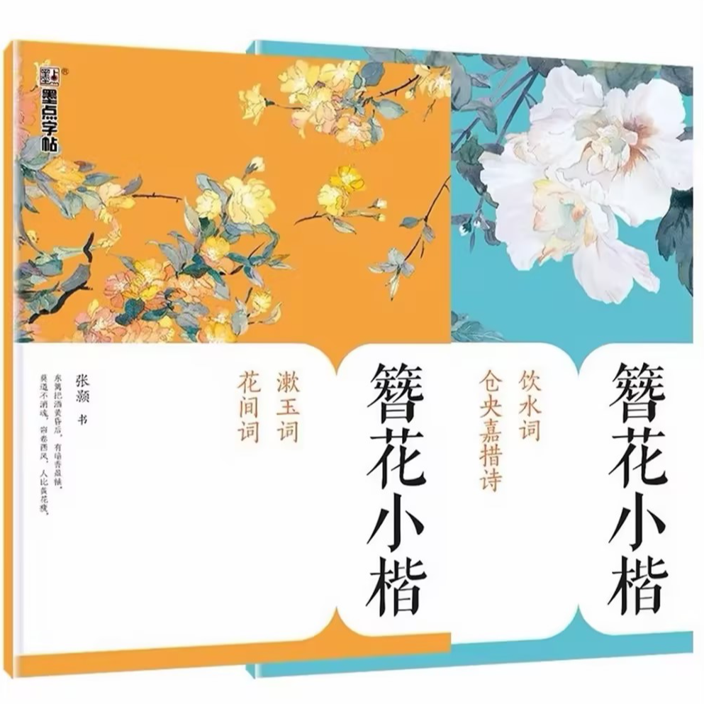 【微瑕】簪花小楷饮水词漱玉词 硬笔书法字帖楷书成人初学者临摹
