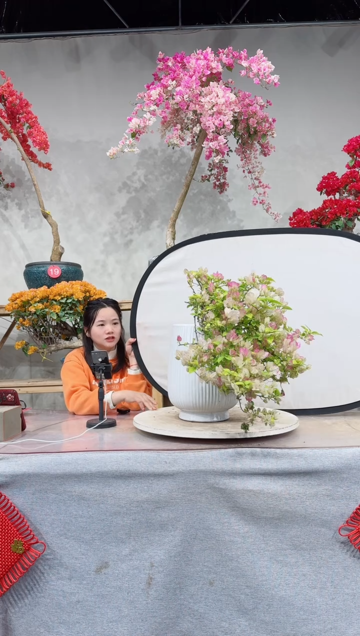 【闪购商品】盆景口红