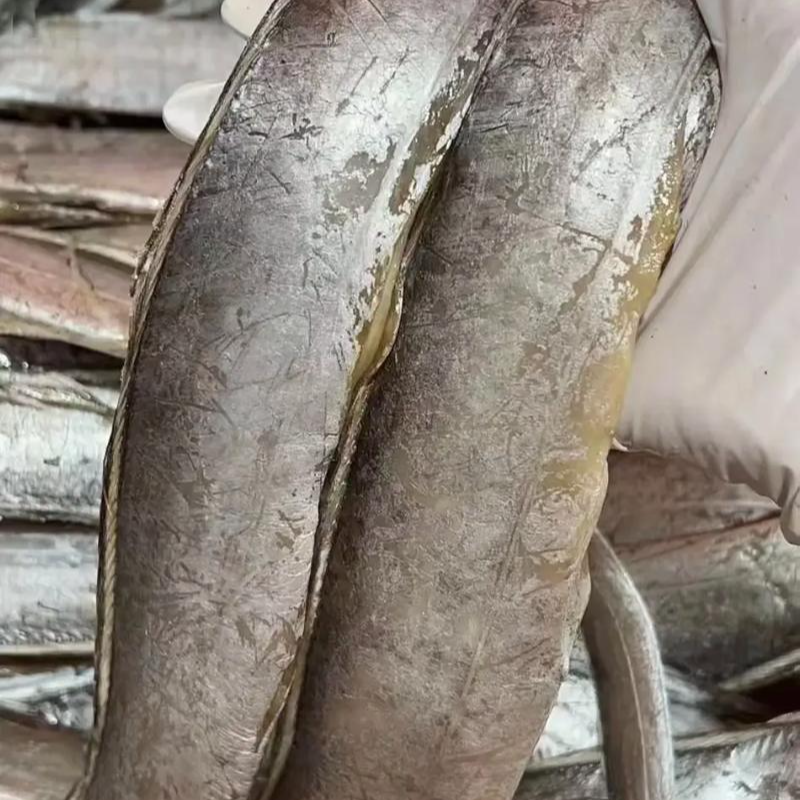 【现场称播大号自选】舟山风带鱼7成干去尾去内脏海鲜套餐6-8两/条