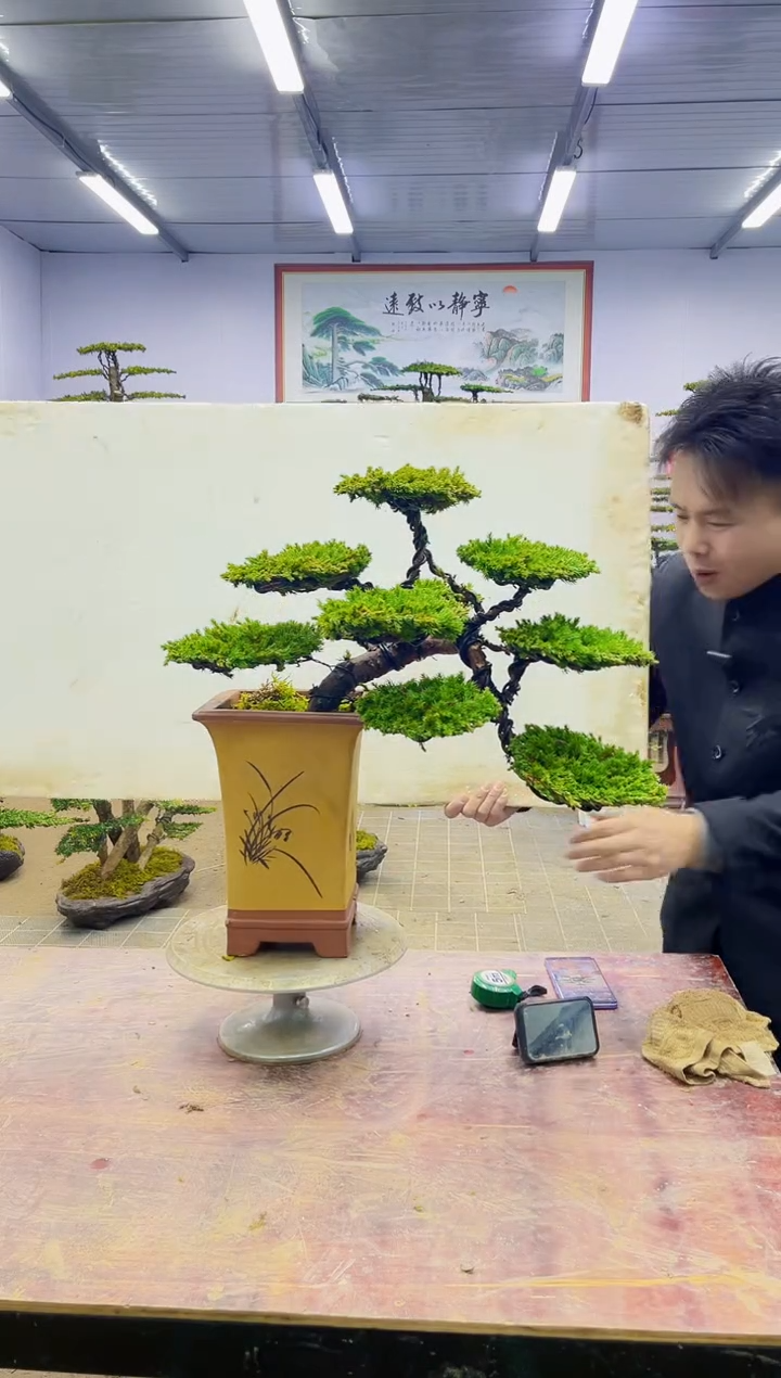 【闪购商品】一物一拍，所见即所得