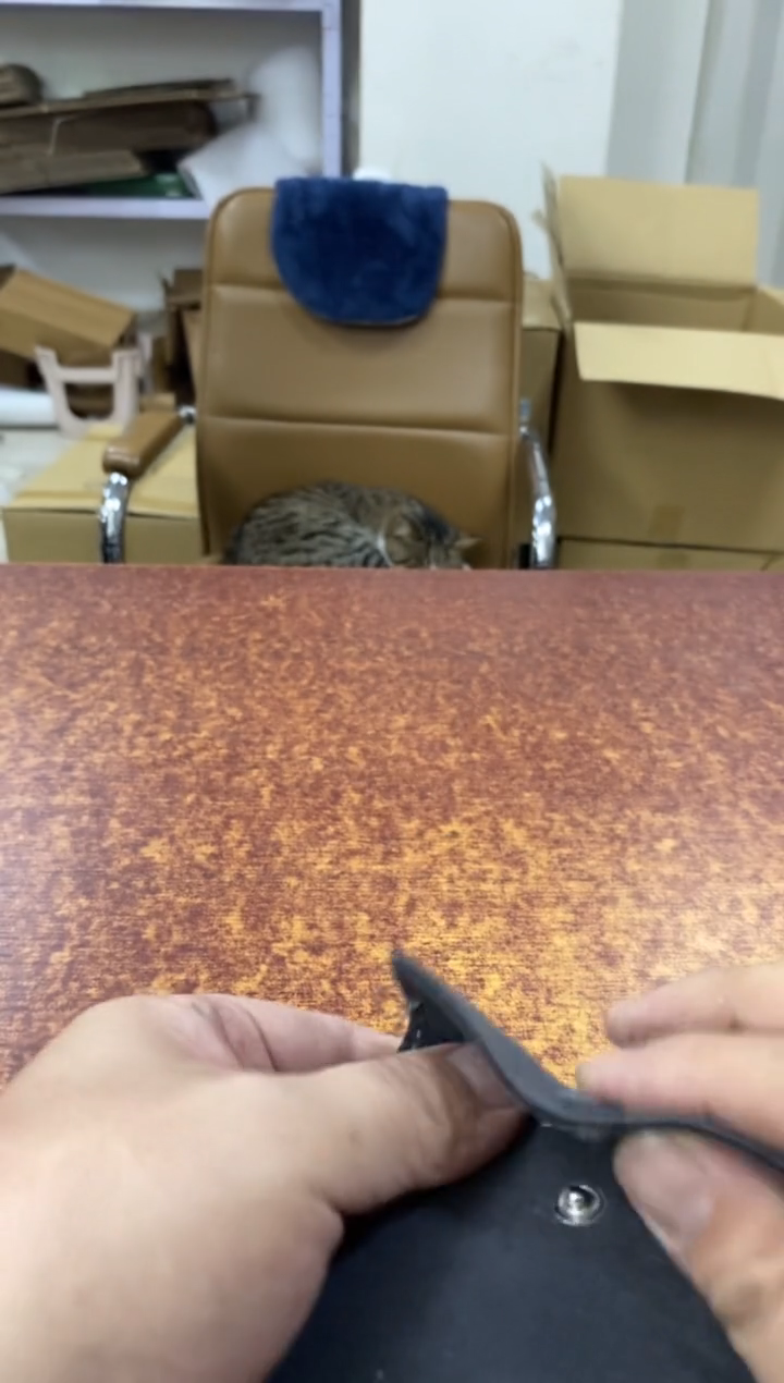 玻璃合金518小林轩欢迎您