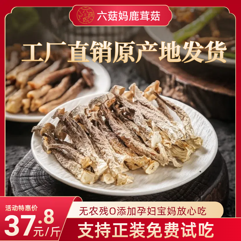 【六菇妈】鹿茸菇无熏硫无农残干货炒肉炖汤鲜美营养美味