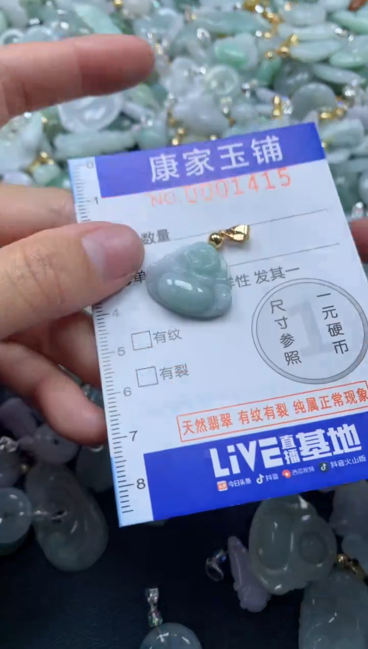 颈饰未镶嵌翡翠1415