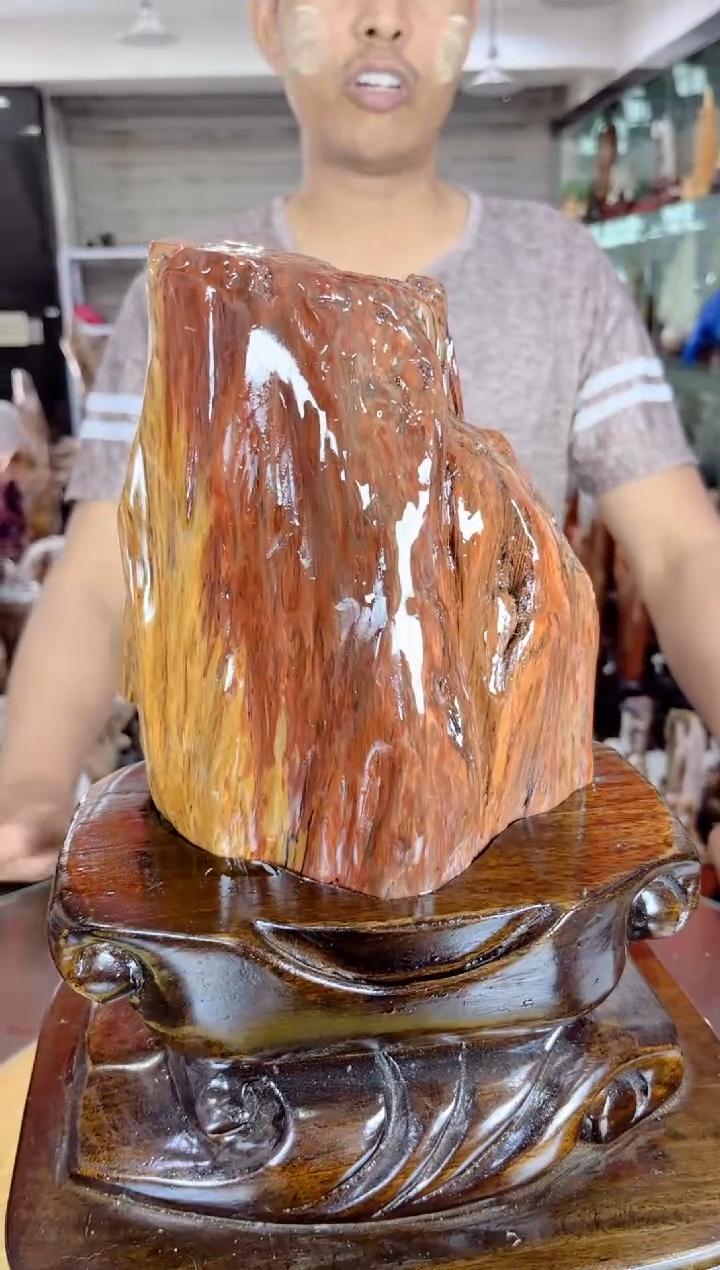【闪购商品】硅化玉珠宝奇石未镶嵌缅甸天然树化玉