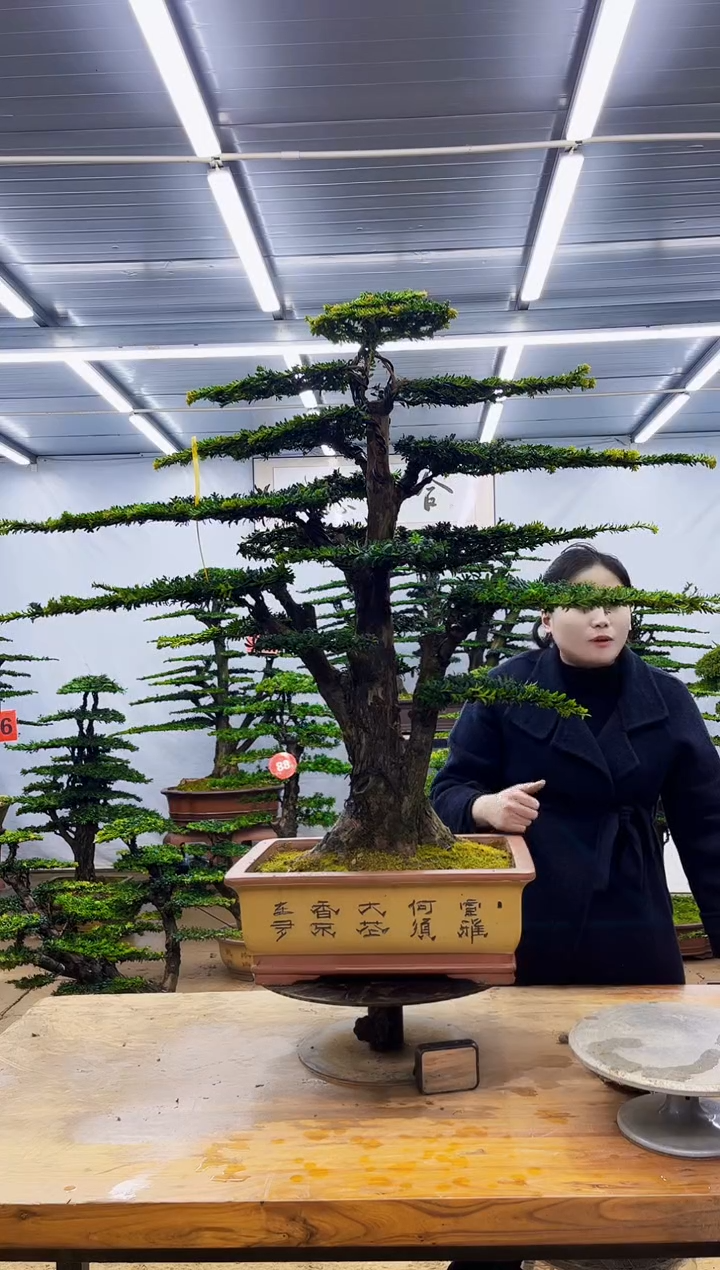 无花朵y一物一拍，所见即所得
