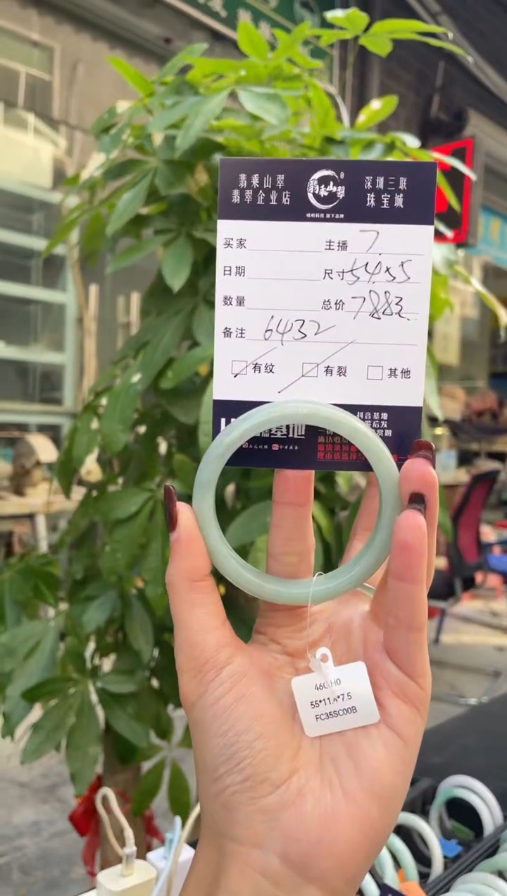 未镶嵌手镯翡翠Q 54-55正圈 6432