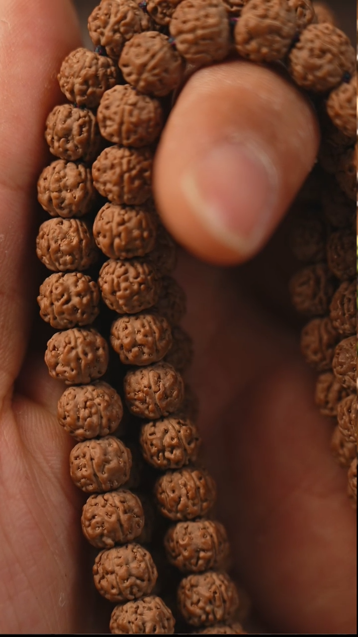 吊坠金刚菩提G*S06无极一代龙