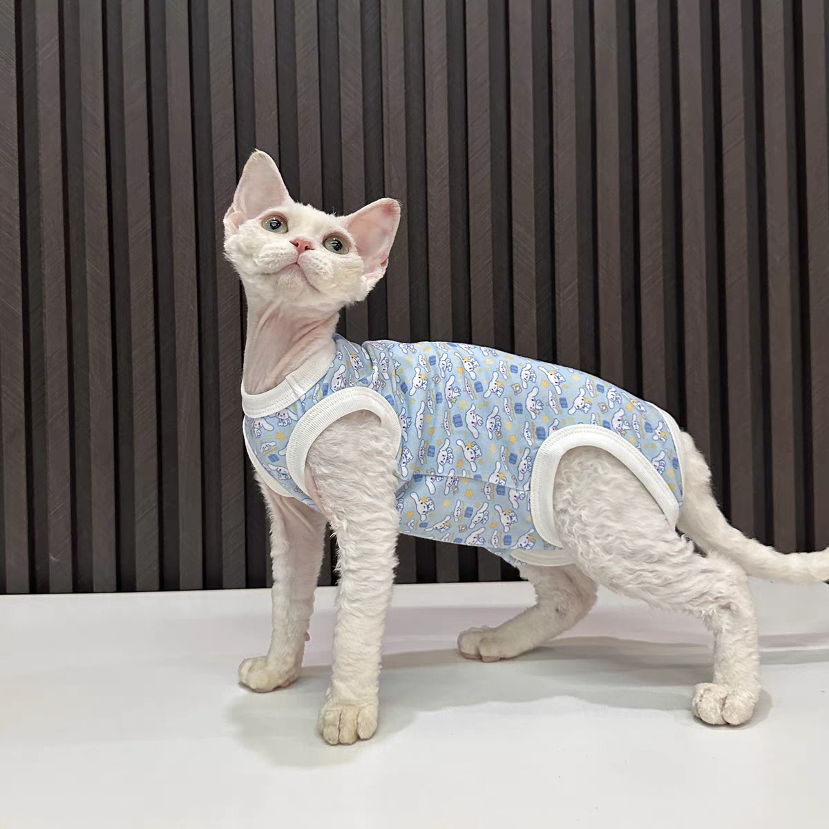 德文猫咪衣服夏季轻薄ins吊带背心矮脚猫小型犬狗狗同款宠物衣服