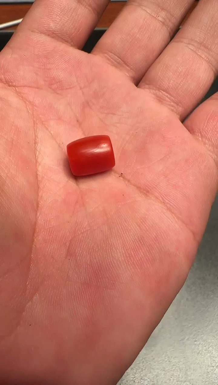海鲜管子海鲜管子