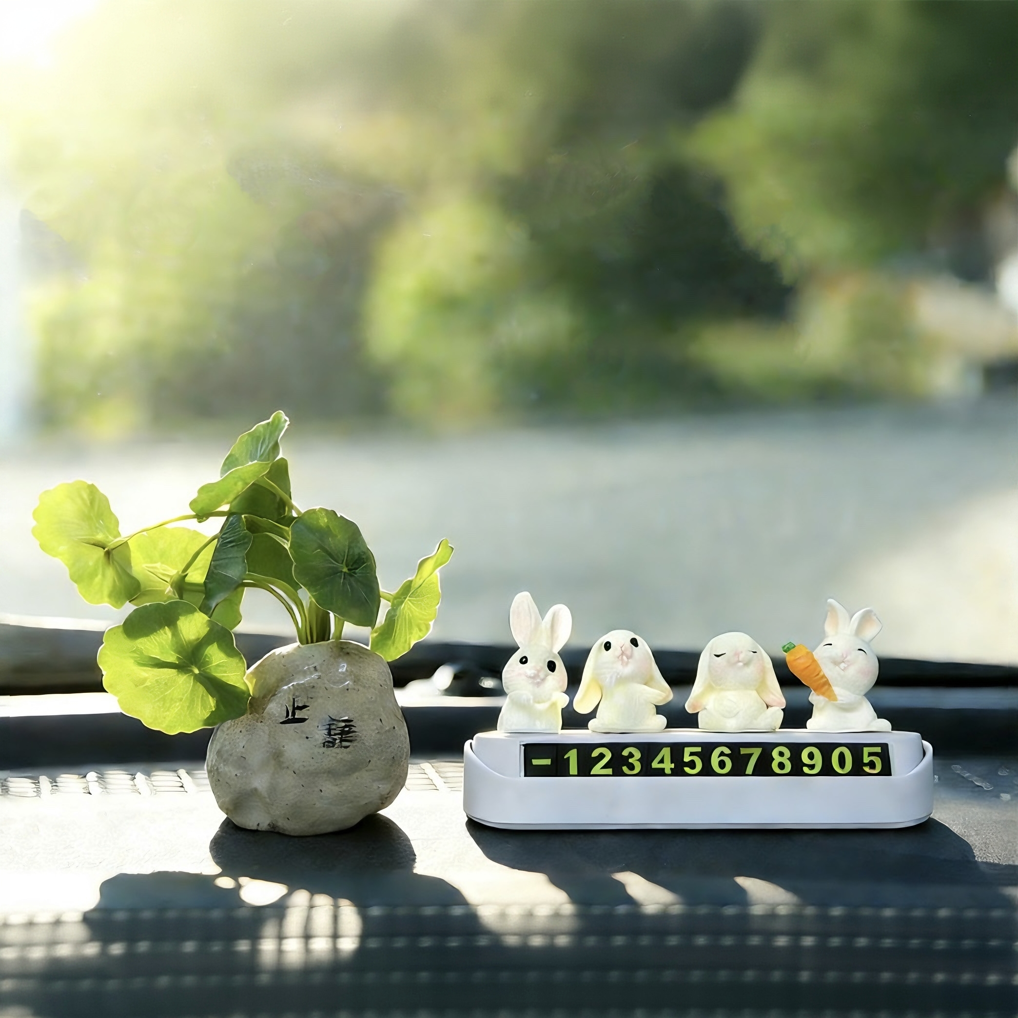 小清新绿植仙人掌临时停车号码牌挪车电话牌