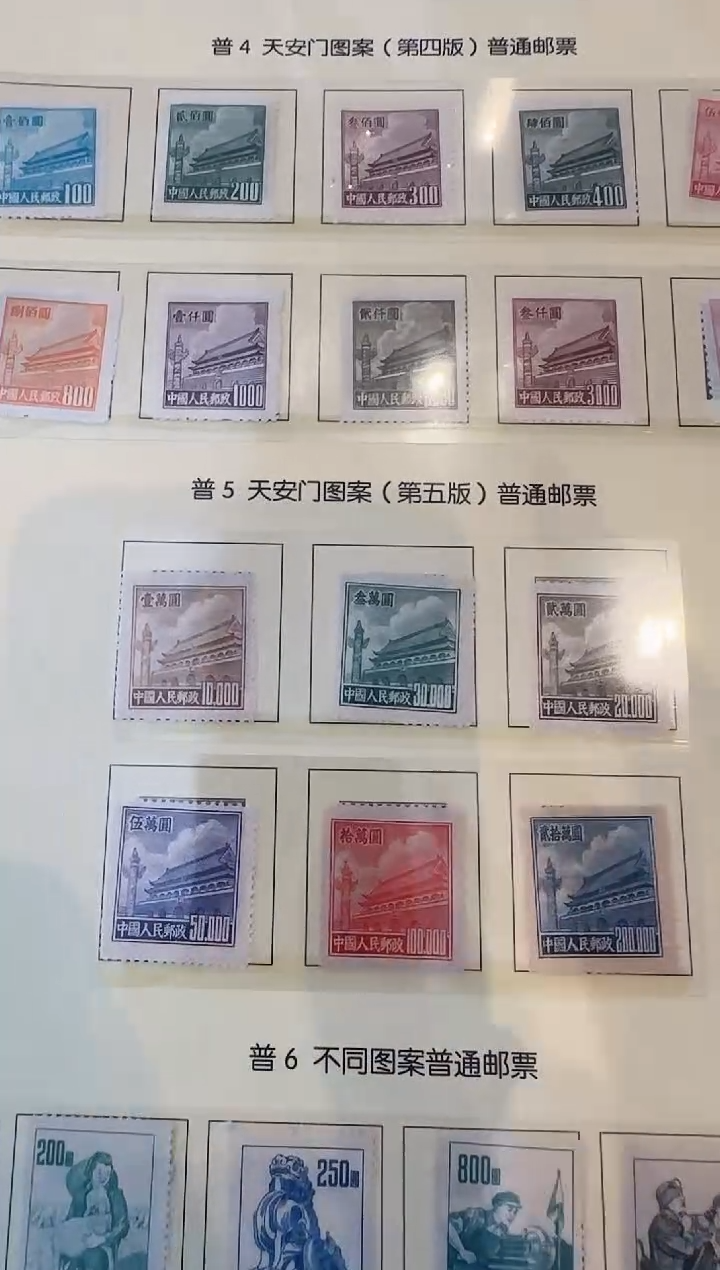 普5全套票—封装评级
