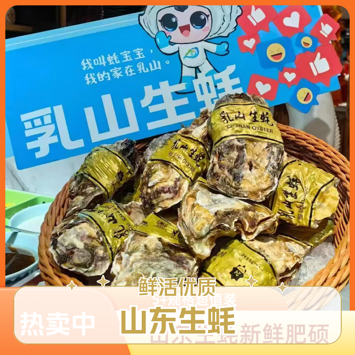 山东5+乳山生蚝 2公斤装8个左右