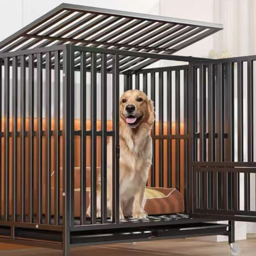 潍坊宇霖拉布拉多犬专用订金，以直播间讲解为主（拍前联系客服）