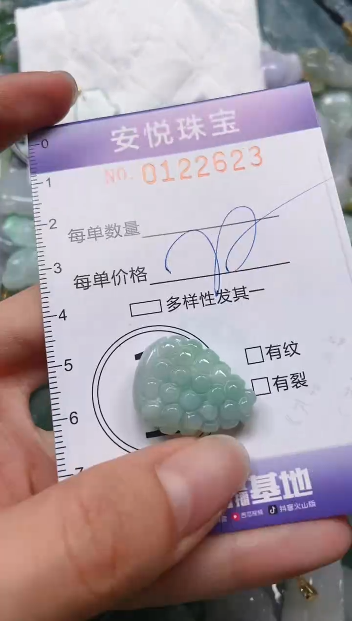 【闪购商品】翡翠颈饰未镶嵌闪购0122623