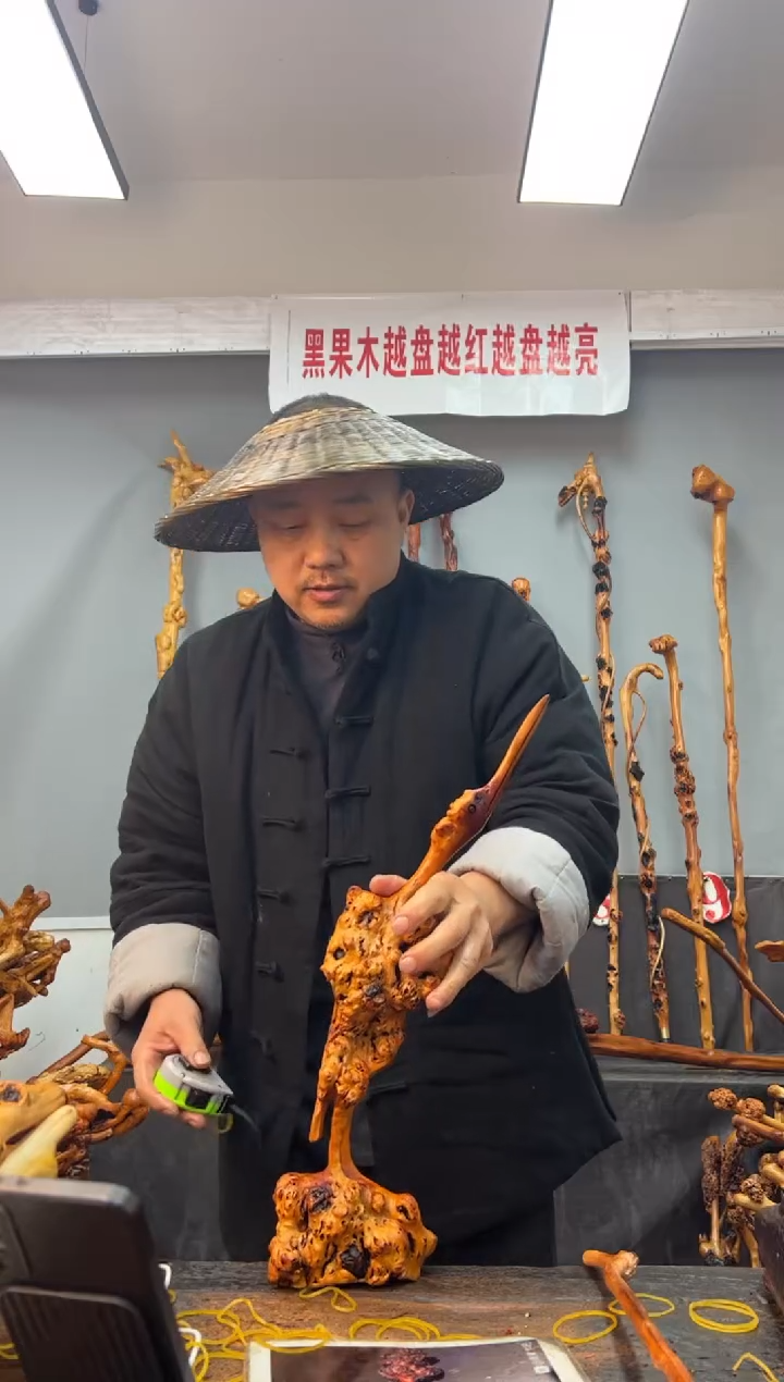 【闪购商品】黑果木其他黑果木339