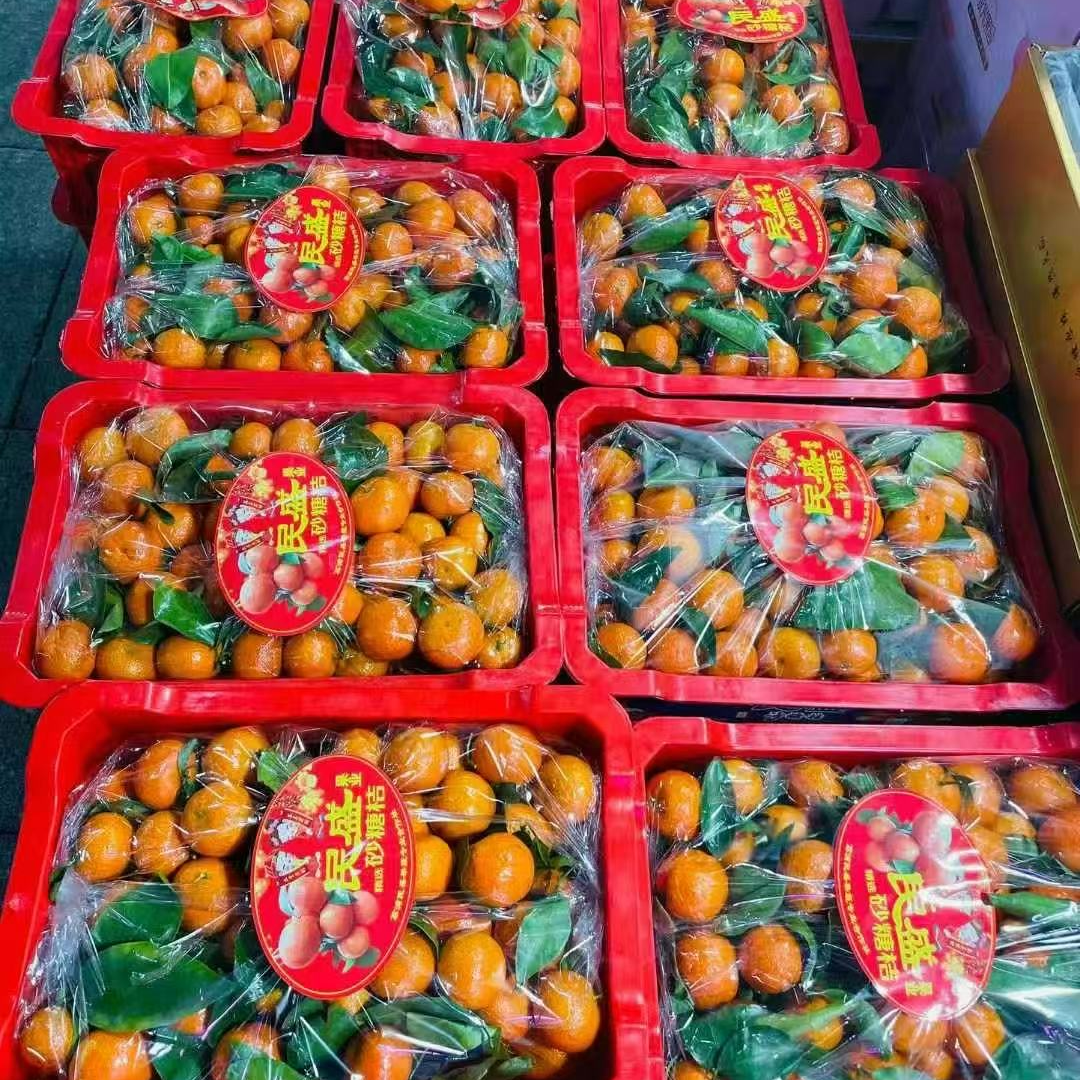 砂糖橘 一筐10斤 嘎嘎甜 送货上门