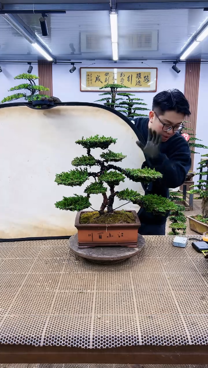 【闪购商品】一物一拍，所见即所得