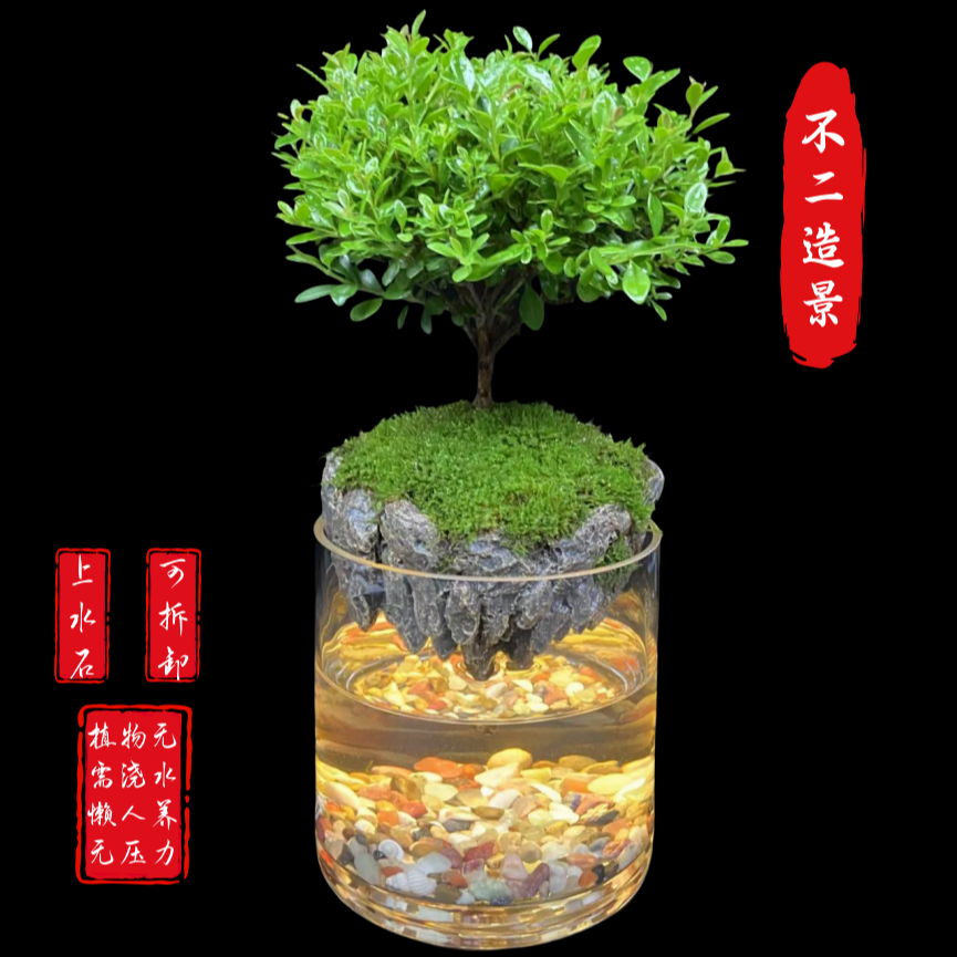 【飞来峰12*12】内置灯上水石创意绿植苔藓景观养鱼中式摆件