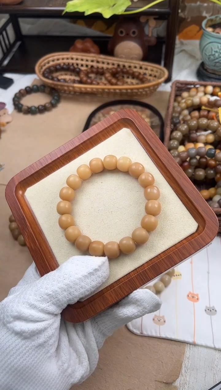 手串菩提根/象牙果a351 卡12.8 干磨海子