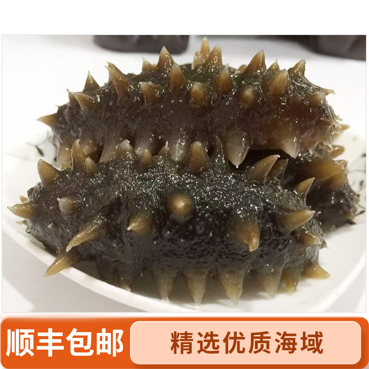 10-13头/斤 大连即食海参Q弹口感 即食海参源头工厂发货顺丰包邮