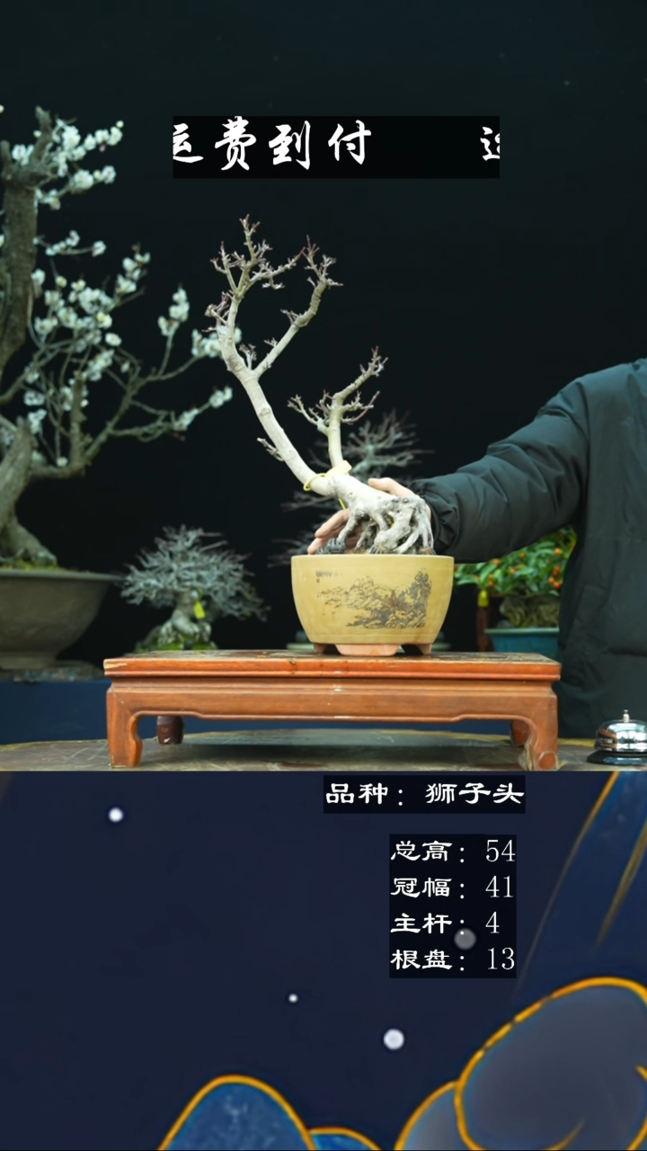 【闪购商品】无铅玻璃118696