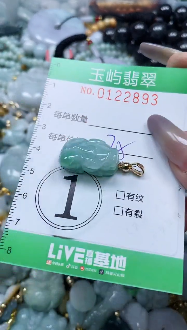 翡翠未镶嵌颈饰闪购0122893