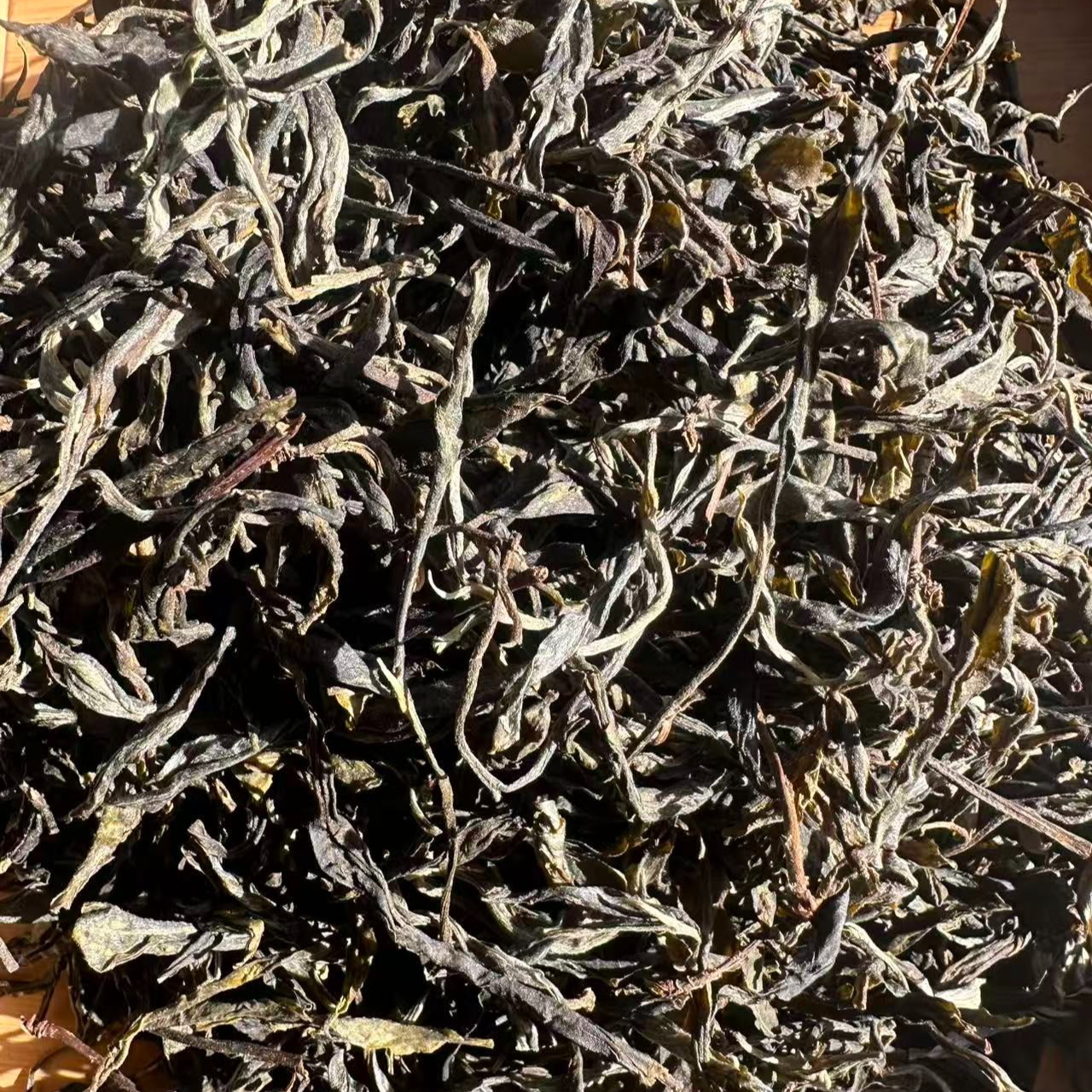 2025年秋季东弄混采普洱生茶散茶500g 12月8日-【2号品】