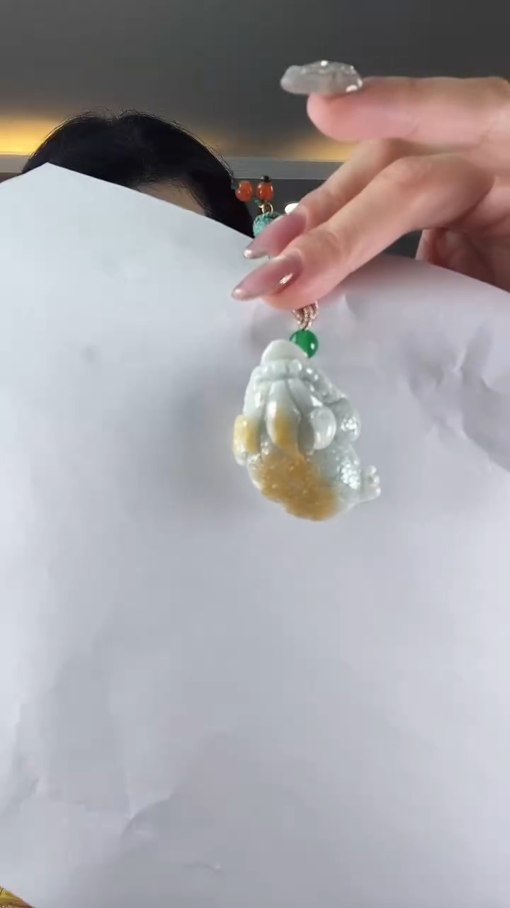 【闪购商品】翡翠颈饰未镶嵌金蟾