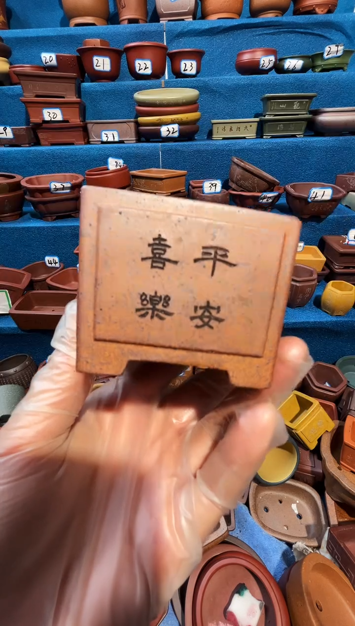 【闪购商品】紫砂紫砂花盆6*4