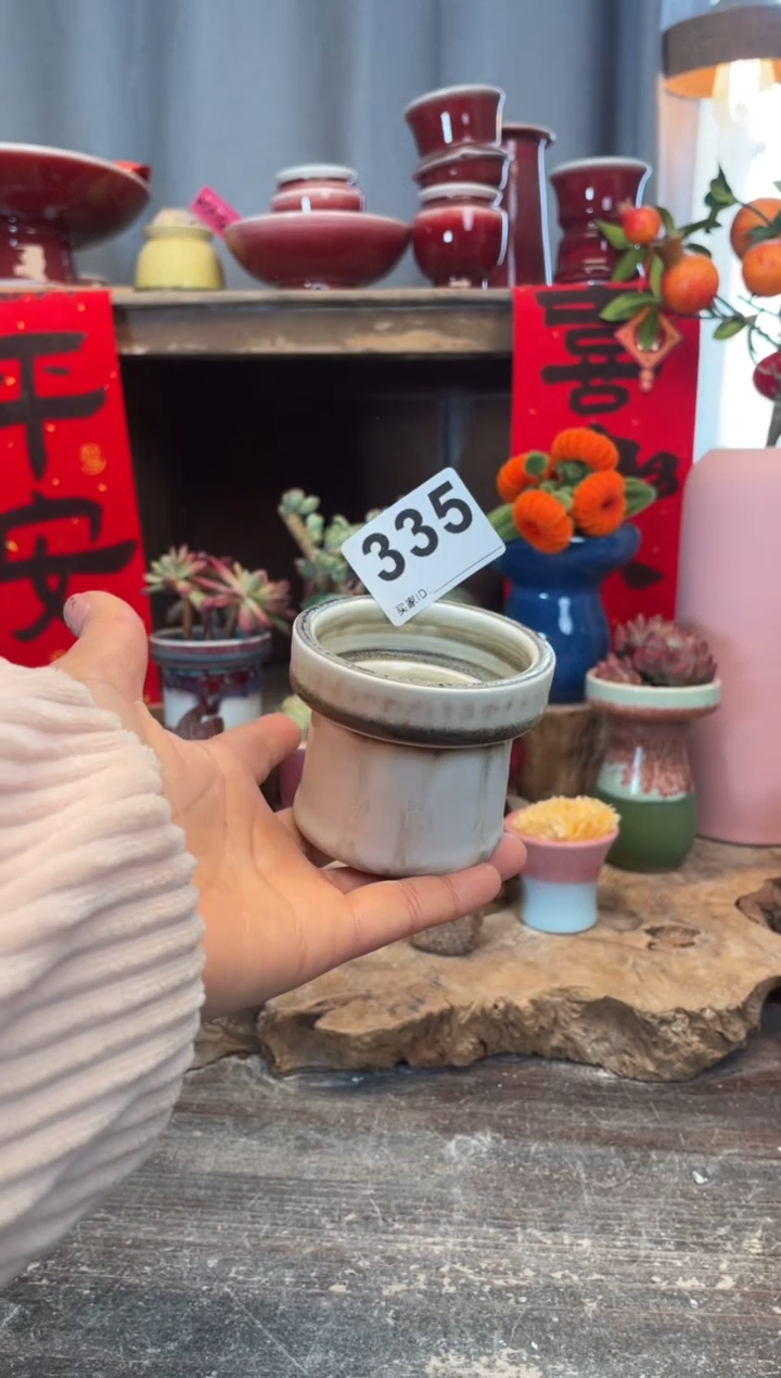 【闪购商品】摆件335知木小芳花盆