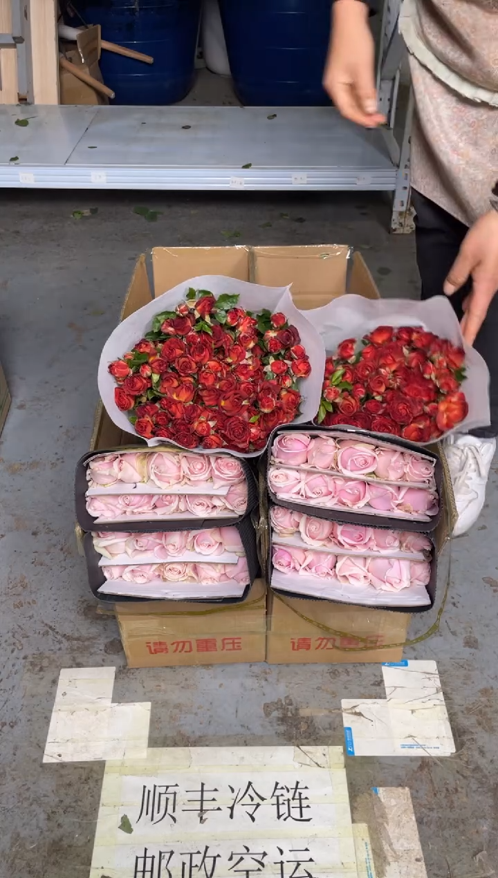 粉红20枝+卡布20枝+巧克力10枝