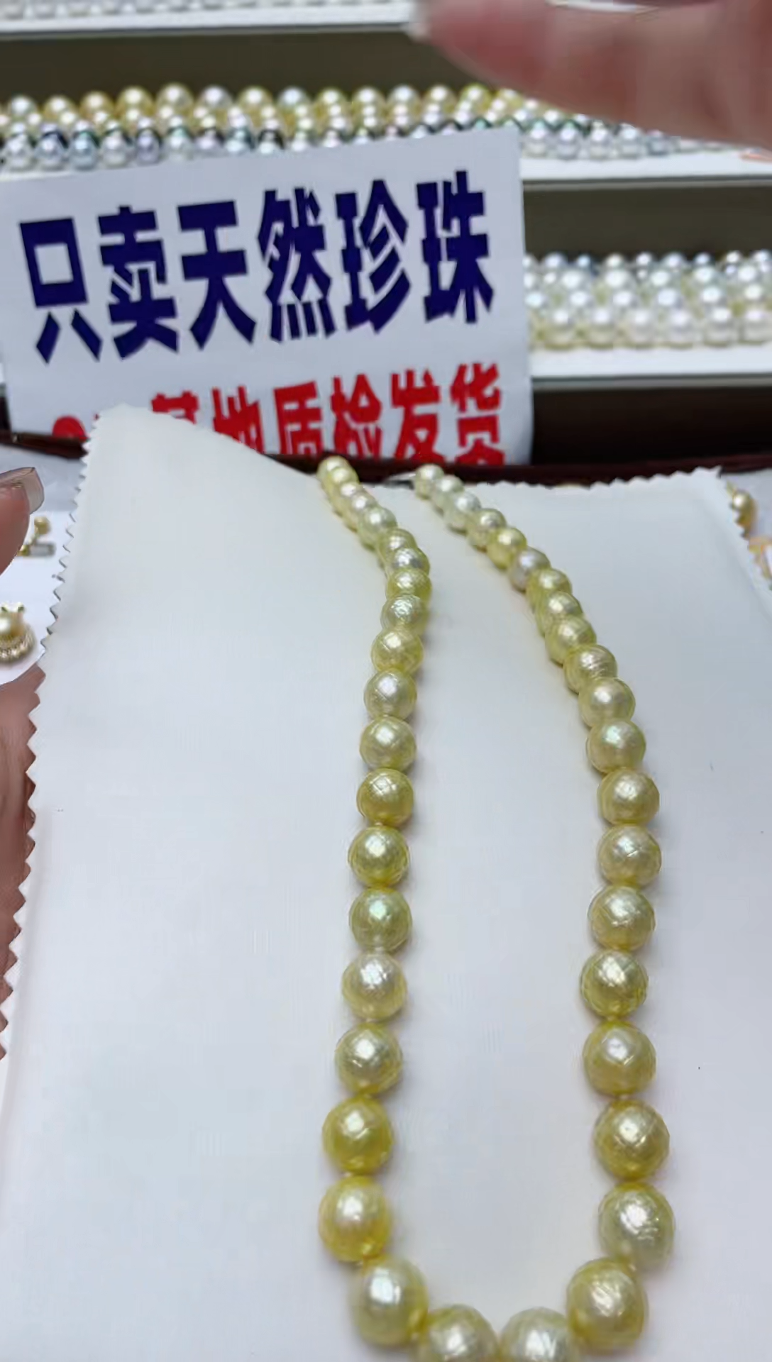 【闪购商品】海水珍珠颈饰未镶嵌A36