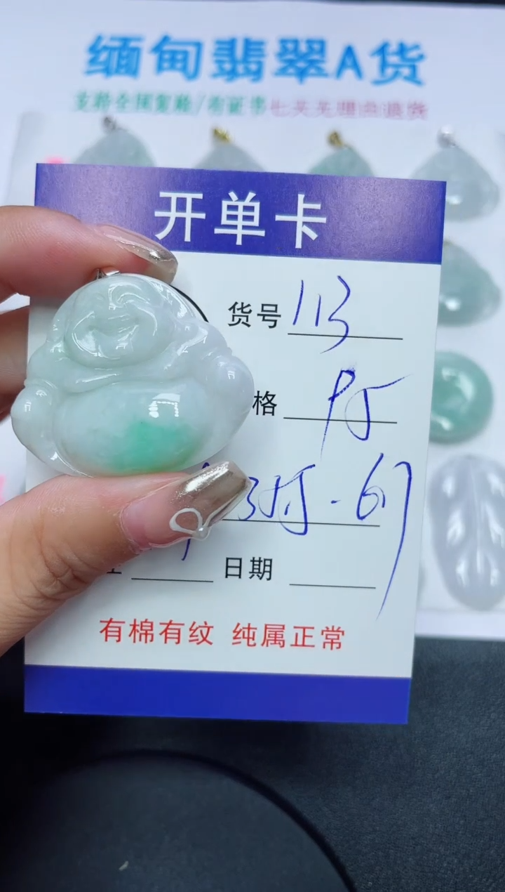 翡翠未镶嵌吊坠(赠链)113