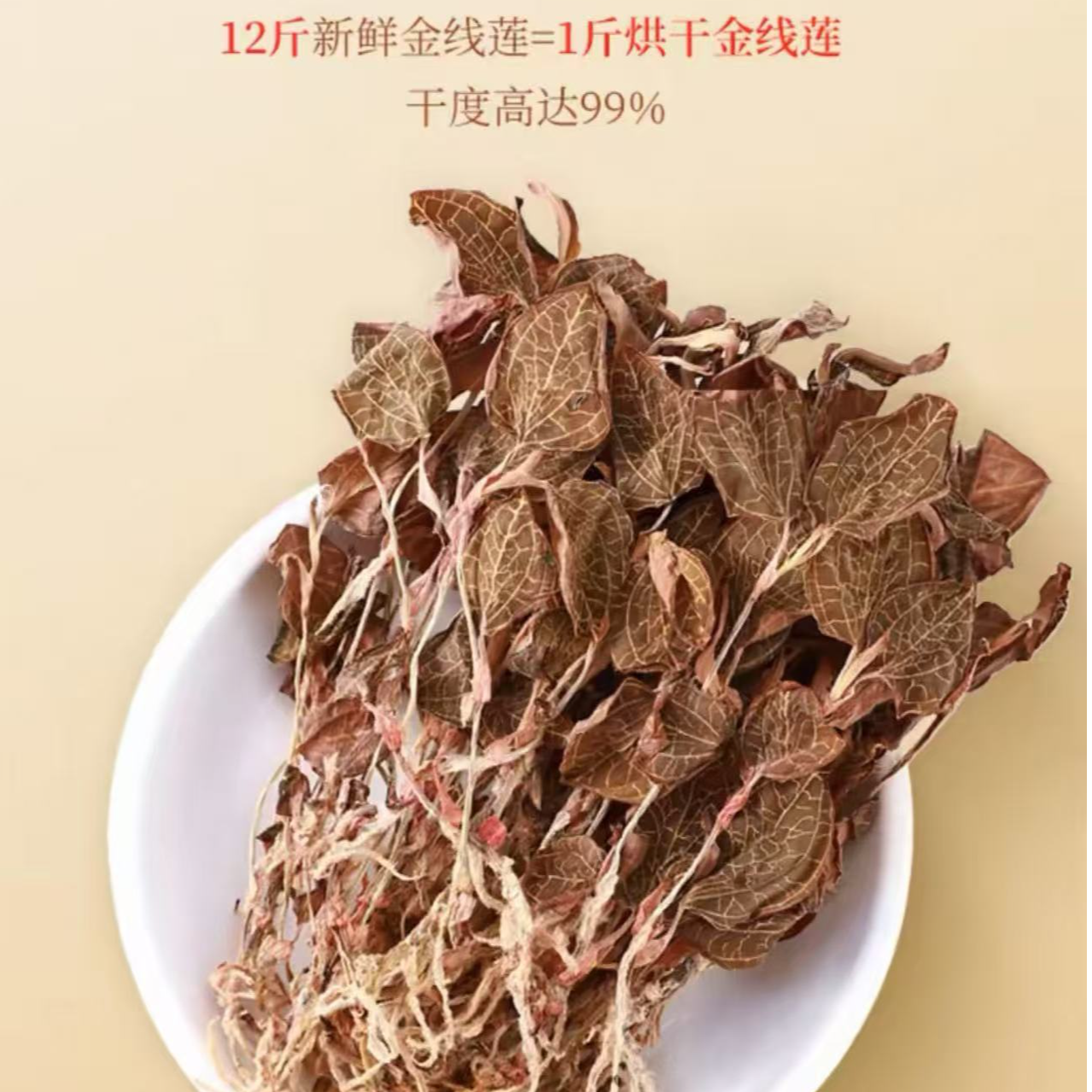 林下种植红霞金线莲福建南靖原产地特色可种植可泡水可炖汤