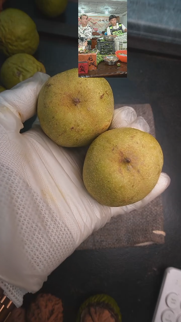 文玩核桃把件青皮南瓜墩62尺左右（售出不退不换）