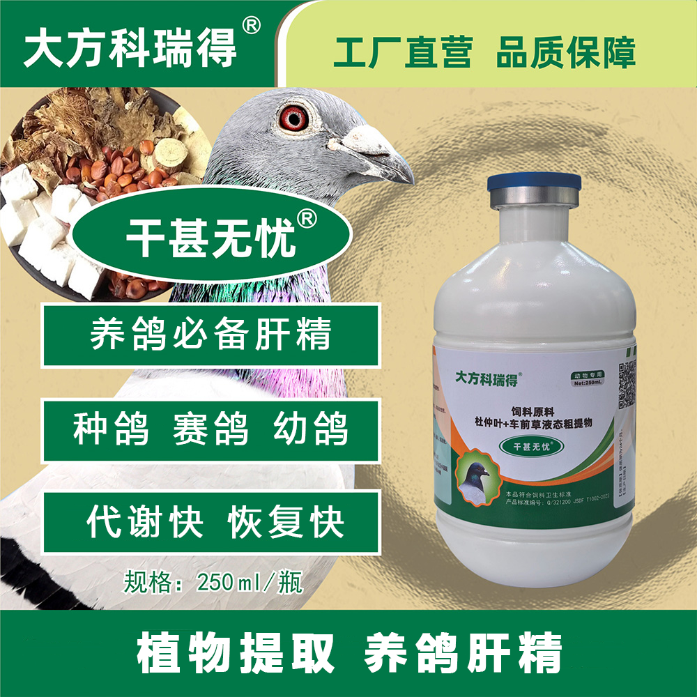 大方科瑞得肝精干甚无忧种鸽赛鸽信鸽肉鸽观赏鸽禽类鹦鹉宠物