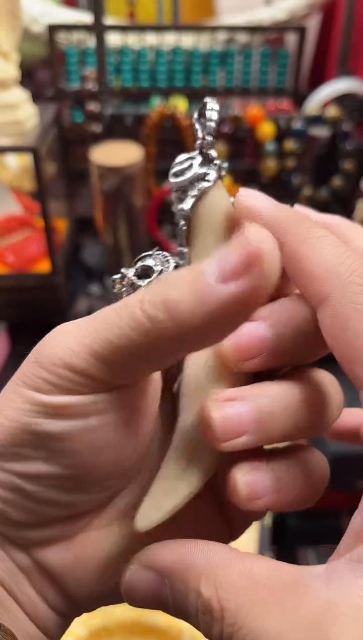 一一一一一一大脑